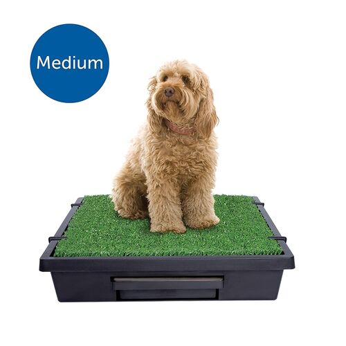 Pet Loo Medium Portable Indoor/Outdoor Dog Potty