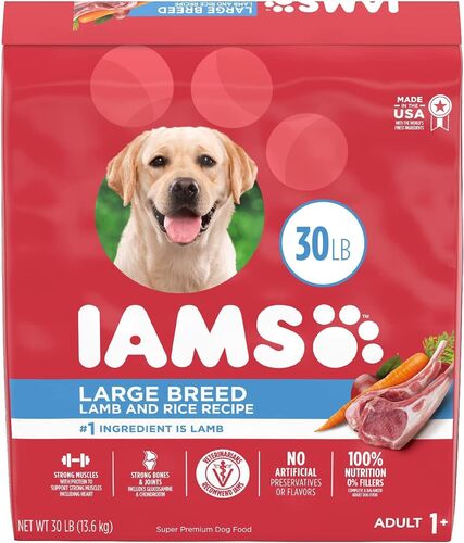 Adult Large Breed Lamb and Rice Dry Dog Food - 30 lb