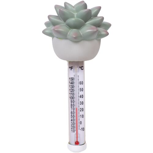 Succulent Pool Thermometer