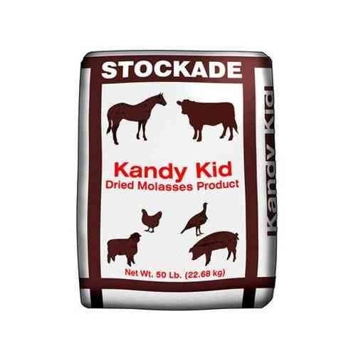 Kandy Kid 42% Dried Molasses - 50 lb