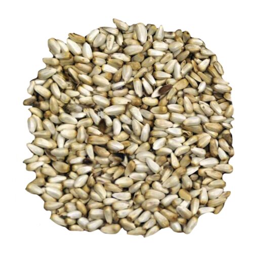 Safflower Bird Seed - (Sold by the Lb)