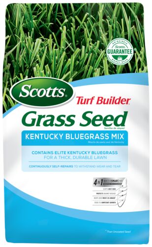 Turf Builder Grass Seed Kentucky Bluegrass Mix - 7 Lb