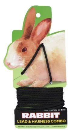 Rabbit Leash and Harness