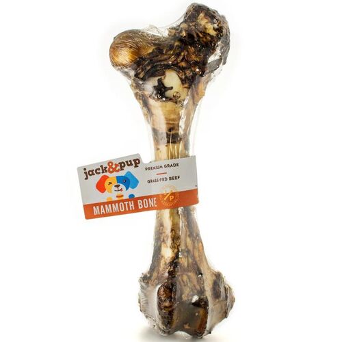Mammoth Femur Bone Dog Treat