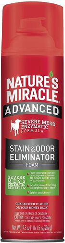 Advanced Stain and Odor Eliminator For Dogs - 17.5 oz
