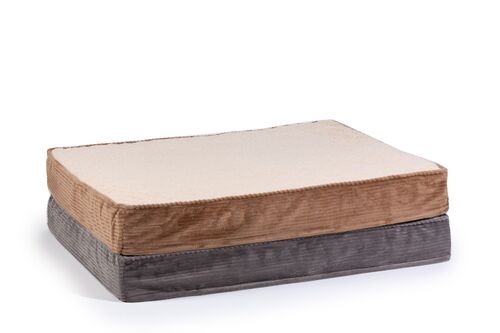 30"x40"x5" Large Ortho Foam Dog Bed - Assorted