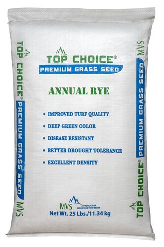 Annual Ryegrass Premium Bulk Grass Seed - (Sold by the Lb)
