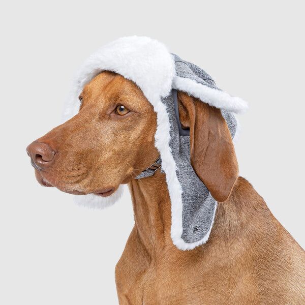 Arctic Air Hat for Dogs