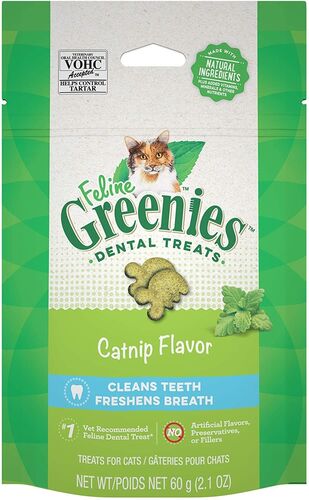 Catnip Flavored Dental Cat Treats