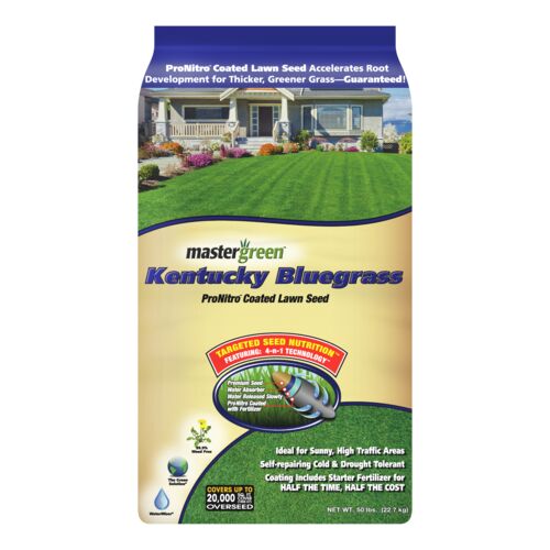 Kentucky Bluegrass Grass Seed - 50 Lb