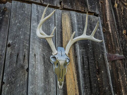 Iron Deer Mount