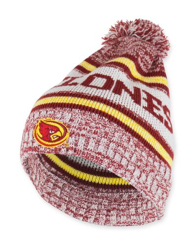 Youth Cyclones Knit Hat with Pom
