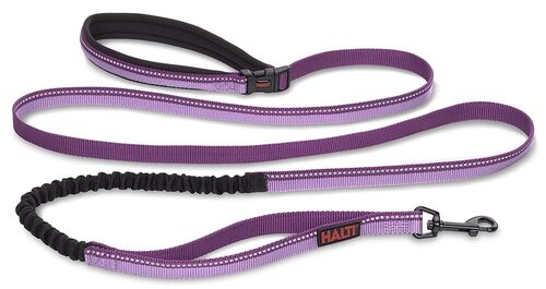 Halti All in One Lead Multi Purpose Dog Leash in Purple - Small