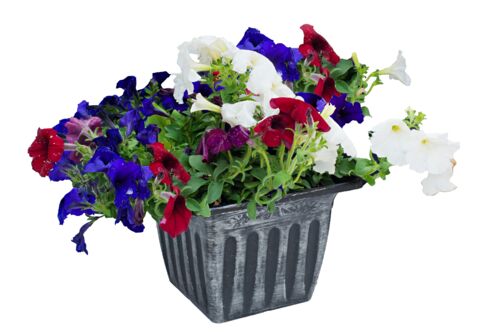 Memorial Planter