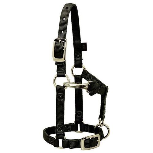 5/8 Inch Adjustable Chin & Throat Snap Halter For Miniature Horse