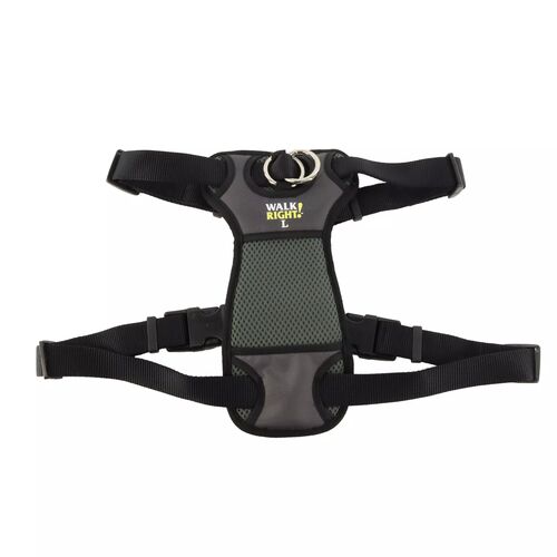 Walk Right Front-Connect No-Pull Padded Dog Harness