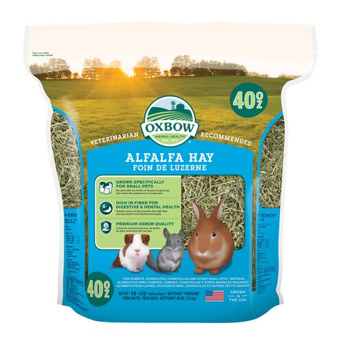 Alfalfa Hay - 40 oz