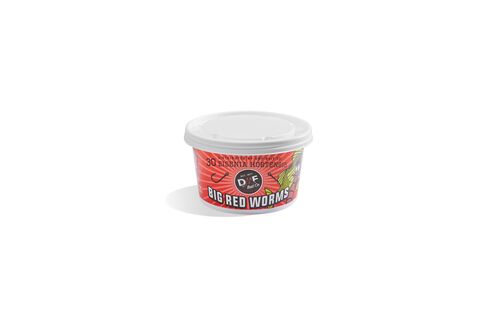 Big Red Worms - 30 ct