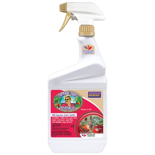 Captain Jack Dead Bug Brew Ready to Use Spray - 32 oz