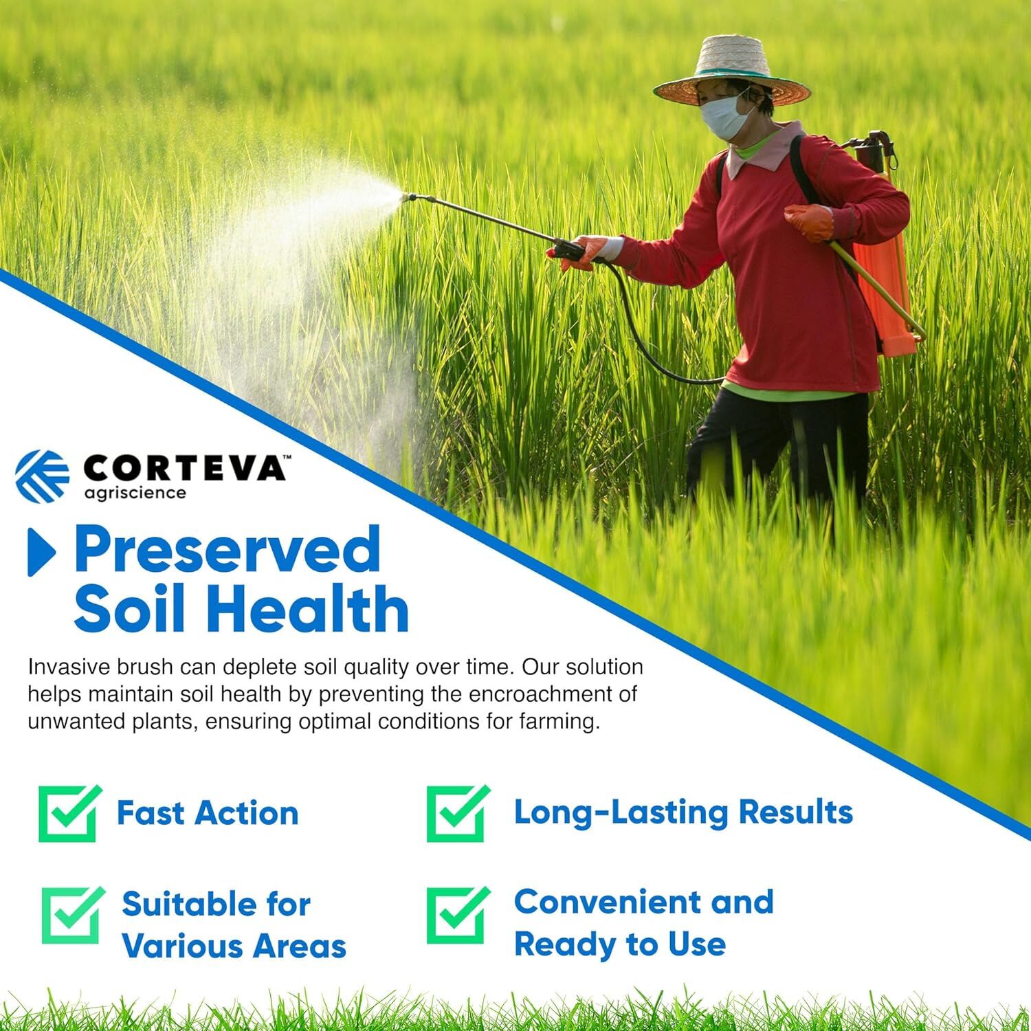 Dow Tordon RTU Herbicide Brush & Tree Stump Killer