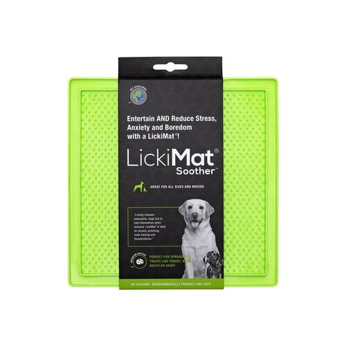 Dog Green Soother Square Mat