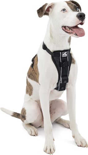 Tru-Fit No Pull Dog Harness - 25-50 Lb