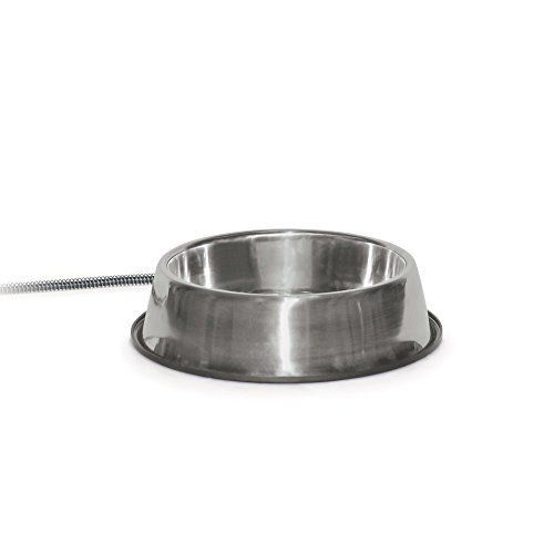 Pet Thermal Bowl Stainless Steel
