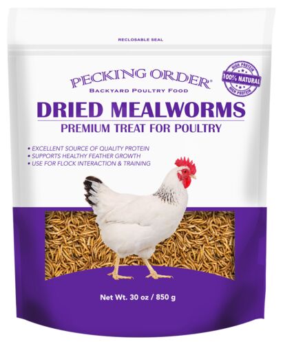 Dried Mealworm Treat - 30 oz