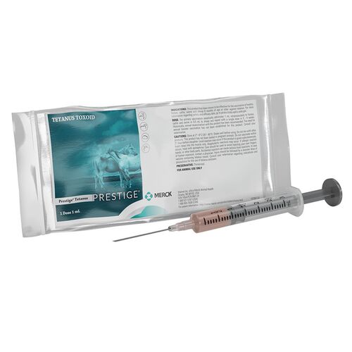 Prestige Tetanus Toxoid Vaccine 1 mL - 1 Dose