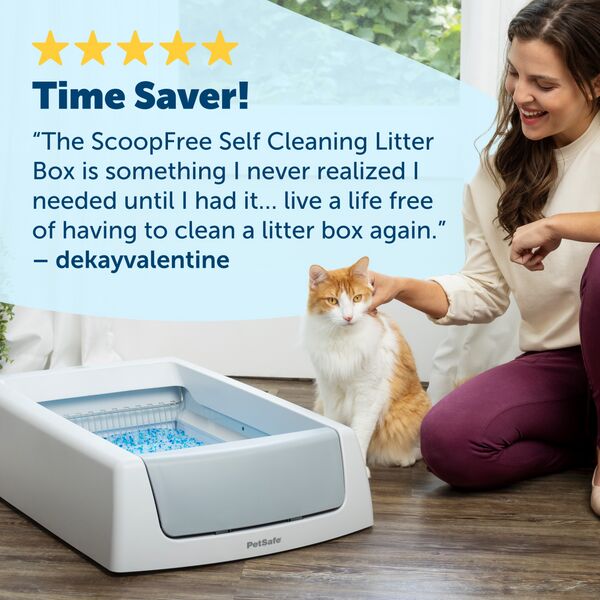 ScoopFree Complete SelfCleaning Litter Box