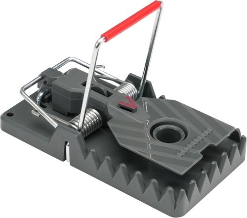 Power-Kill Rat Trap