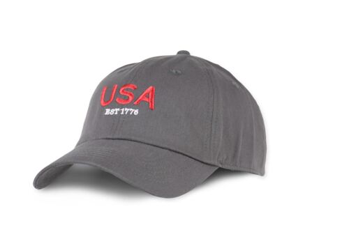 Men's Grey USA Patriotic Cap
