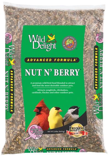 Advanced Formula Nut N' Berry Birdseed
