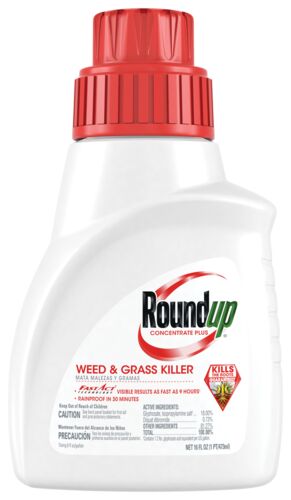 Weed & Grass Killer Concentrate Plus