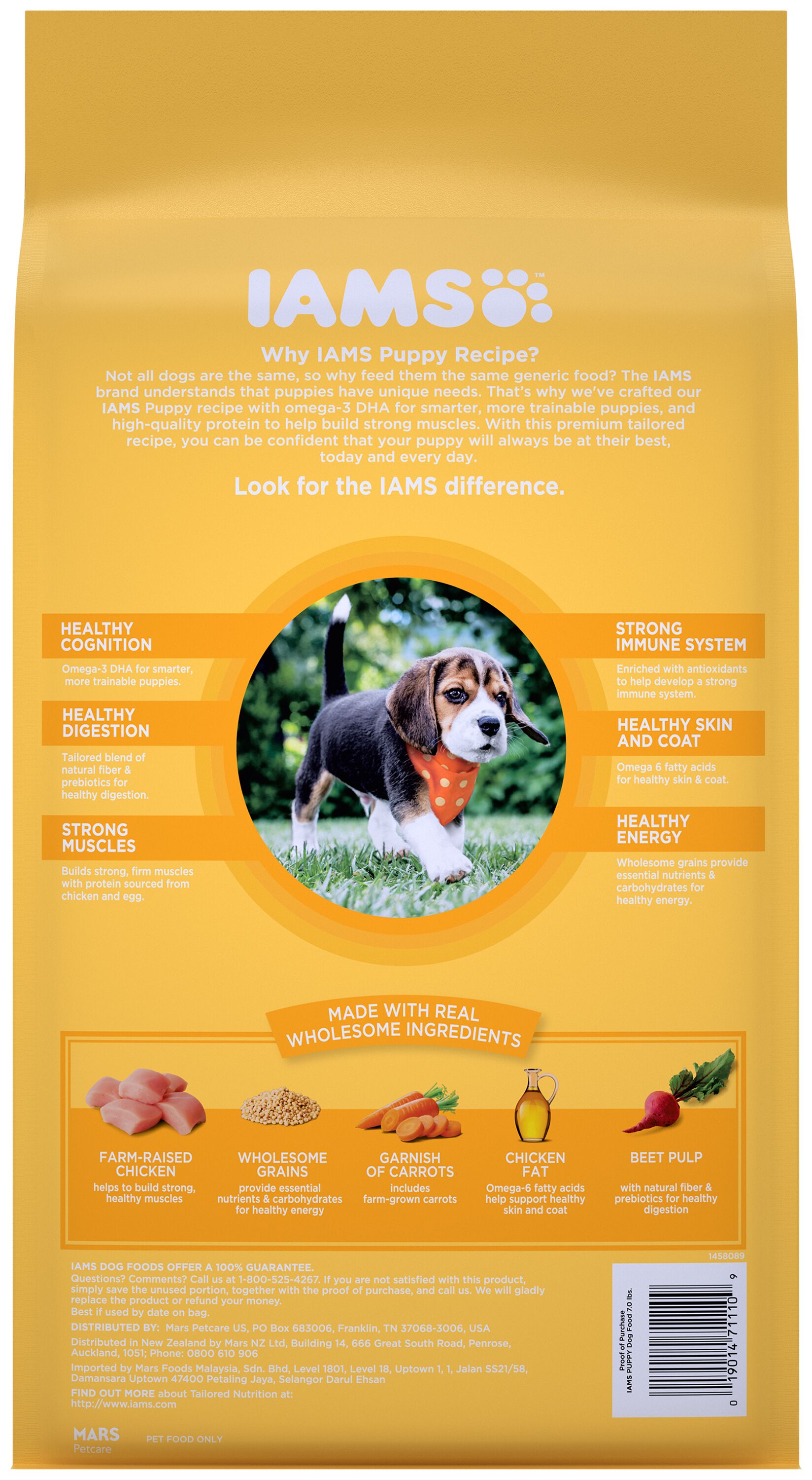 Puppy Chicken and Whole Grains Dry Dog Food
