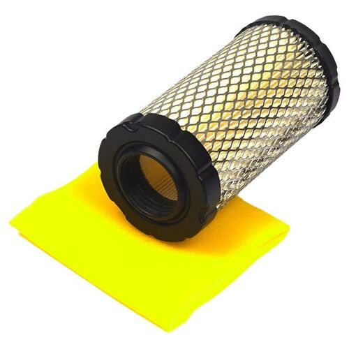 Air Filter with Pre-Cleaner (793569/793685S)