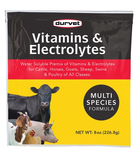 Vitamins & Electrolytes Powder Supplement - 8 oz