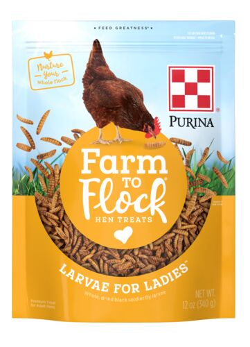Farm to Flock Larvae for Ladies Hen Treats - 12 oz