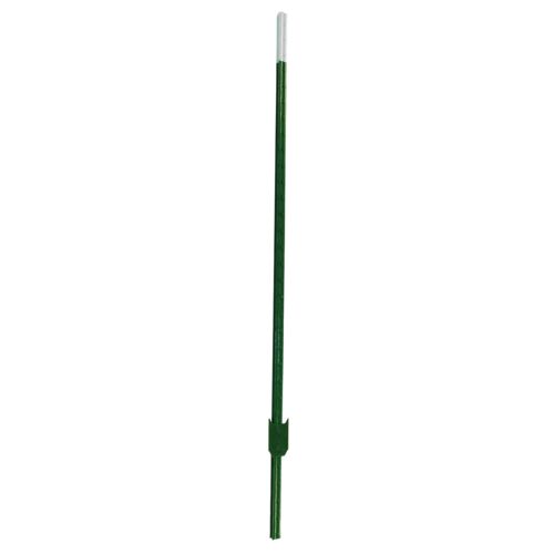 1-1/4" Studded T-Post in Green/White