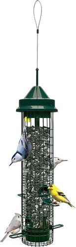 Squirrel Buster Classic Squirrel Proof Bird Feeder