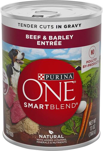 ONE SmartBlend Beef & Barley Entree Canned Dog Food 13 oz