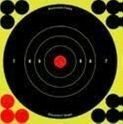 Shoot-N-C Bull's-eye Target