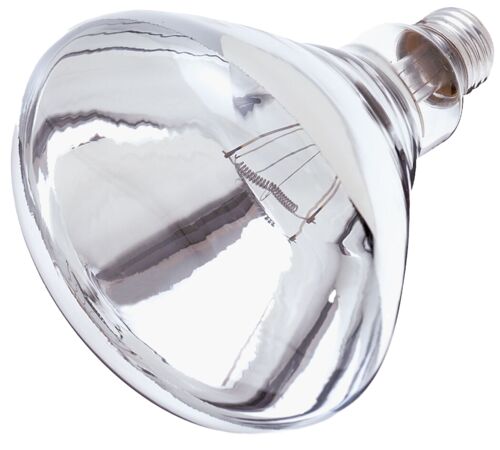 Clear Heat Bulb 250W