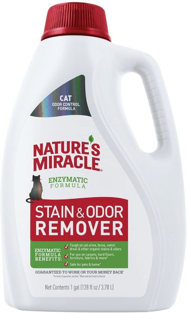 Cat Stain and Odor Remover Pour Formula - 128 oz