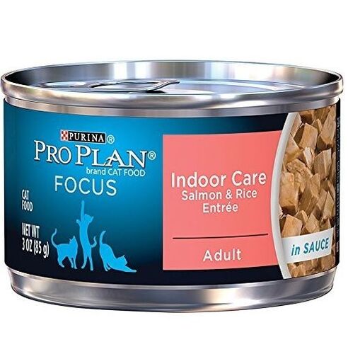 Focus Adult Indoor Care Salmon & Rice Entree Canned Cat Food