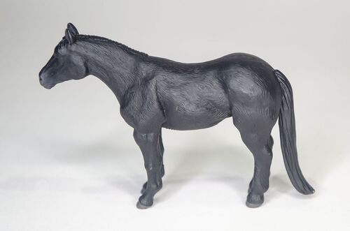 Quarter Horse Black
