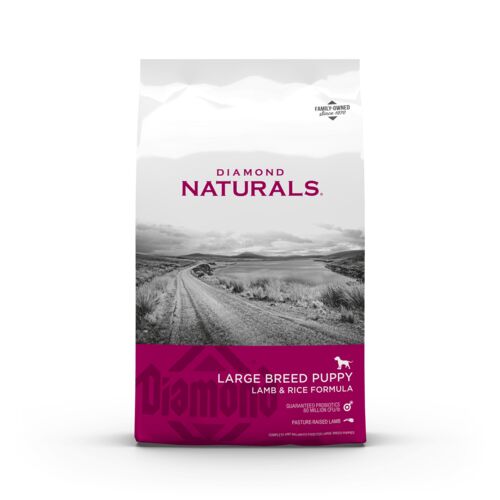 Large Breed Puppy Lamb & Rice Dry Dog Food