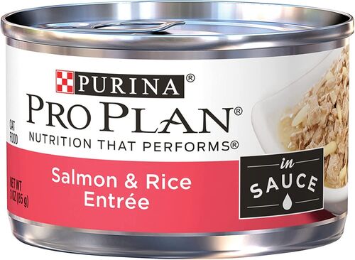 Adult Salmon and Rice Cat Food - 3 oz Can