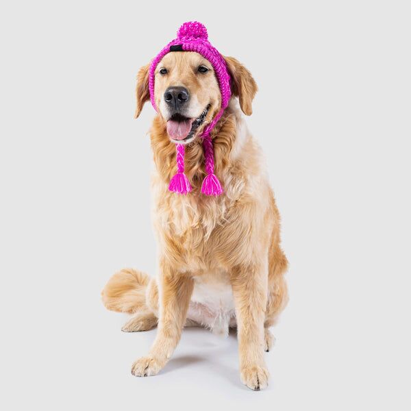 Polar Pom Pom Hat for Dogs in Pink