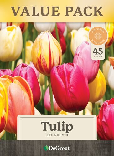 Darwin Tulip Mix - 45 Bulbs